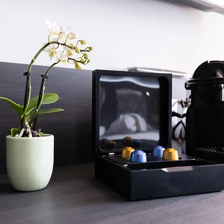 Mercure Bale Mulhouse Aeroport 호텔 브롯츠헴