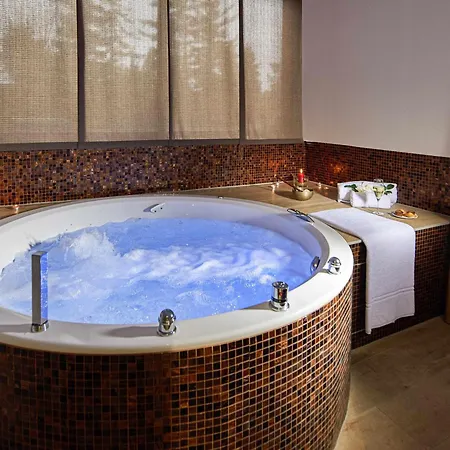 מלון Mercure Bale Mulhouse Aeroport בלוצהיים