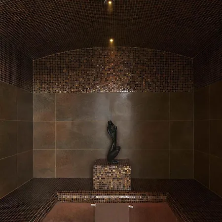 Mercure Bale Mulhouse Aeroport 4* בלוצהיים