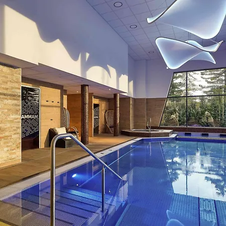 Mercure Bale Mulhouse Aeroport מלון 4*