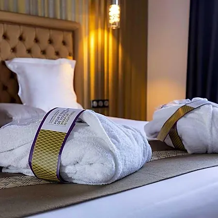Mercure Bale Mulhouse Aeroport 布洛泽姆