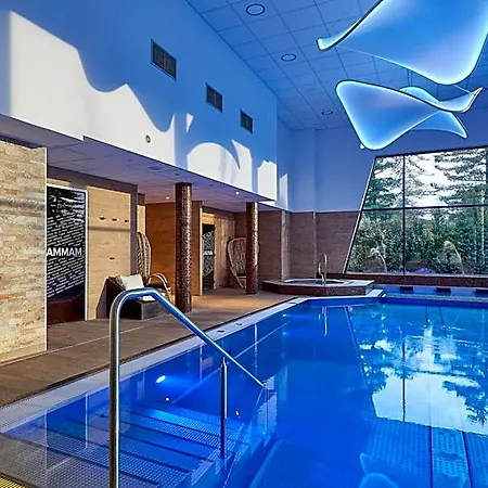 Mercure Bale Mulhouse Aeroport 4*