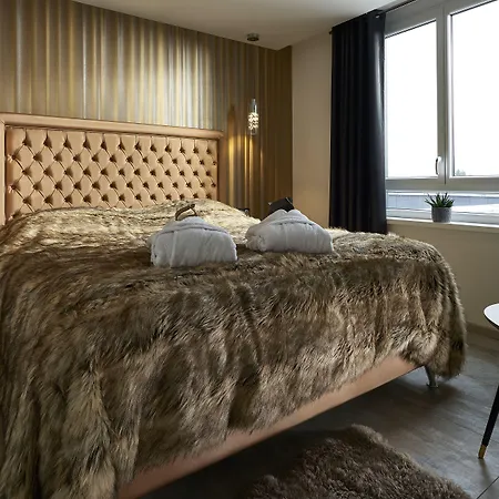 Mercure Bale Mulhouse Aeroport 酒店 布洛泽姆