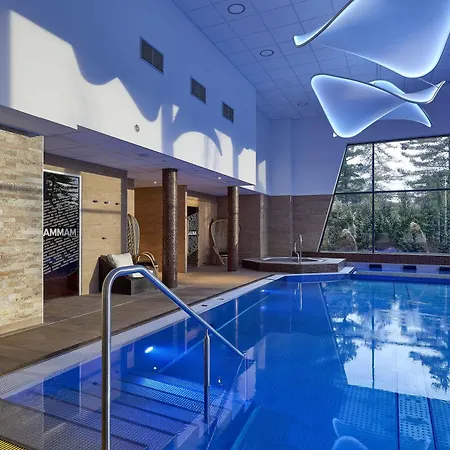 Mercure Bale Mulhouse Aeroport Hotel