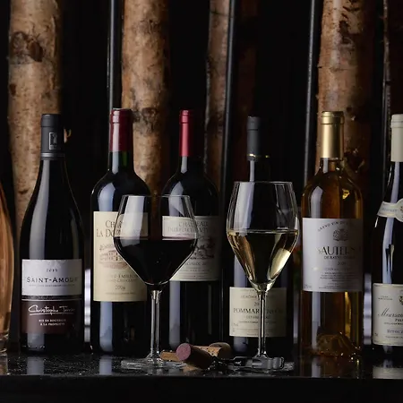 Mercure Bale Mulhouse Aeroport מלון 4*