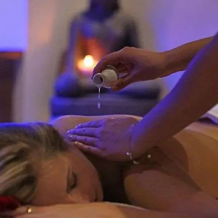 Mercure Bale Mulhouse Aeroport מלון בלוצהיים