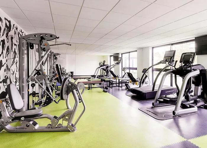 Hotel Mercure Bale Mulhouse Aeroport 4*