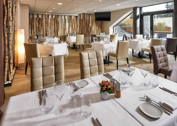 Mercure Bale Mulhouse Aeroport Hotel Blotzheim