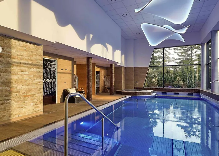 Mercure Bale Mulhouse Aeroport Hotel 4*