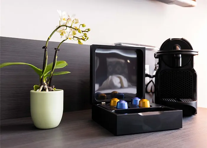 Mercure Bale Mulhouse Aeroport Hotel Blotzheim